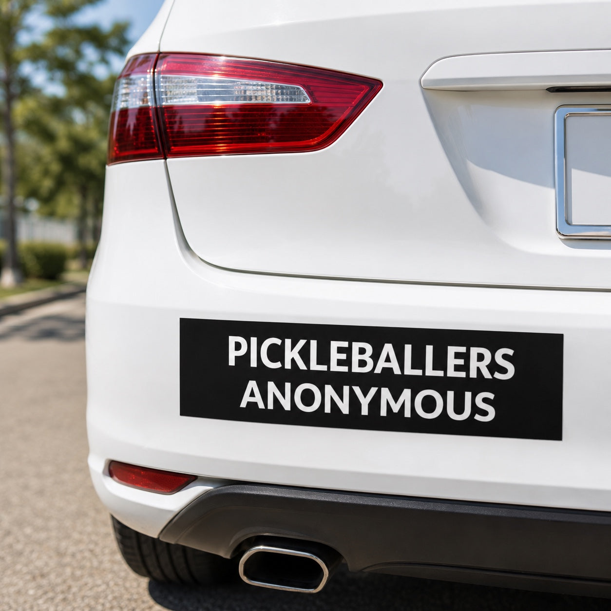 Pickleballers Anonymous | Car magnet