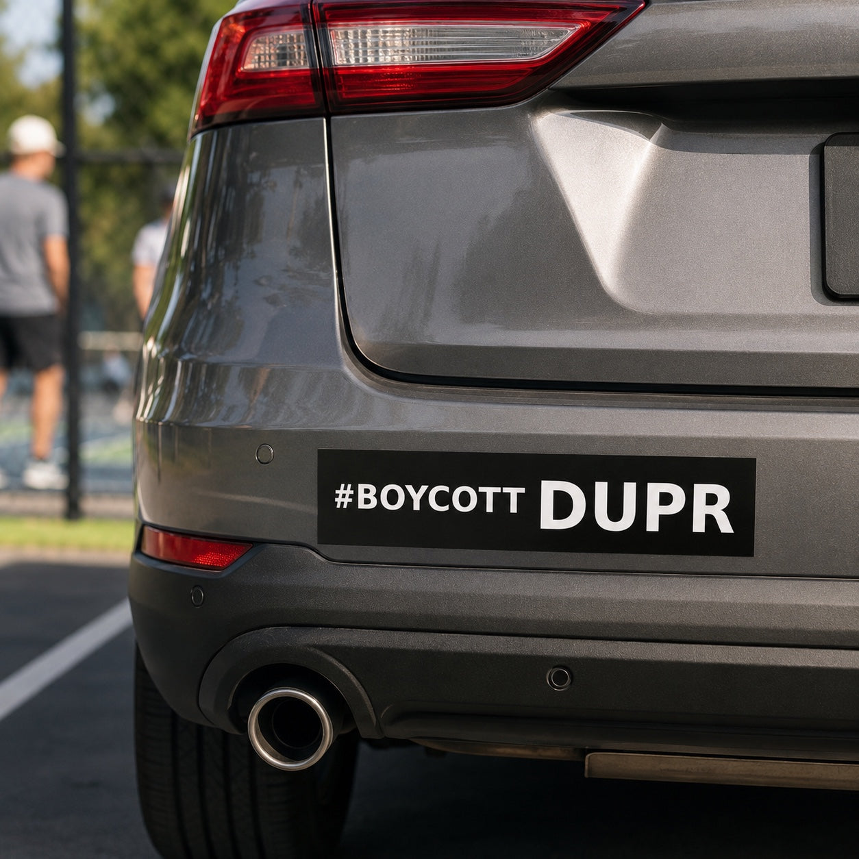 #Boycott DUPR | Car magnet
